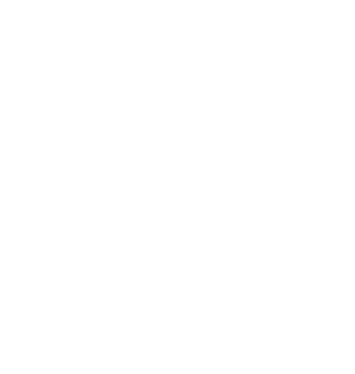 SBR BLG